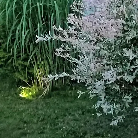 Holenderskie ,, Latajacy Holender